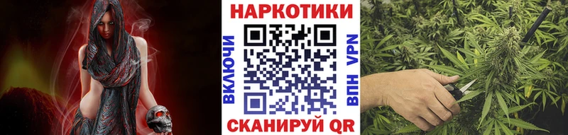 Купить Псилоцибиновые грибы Alpha-PVP Мефедрон Марихуана Новоалександровск