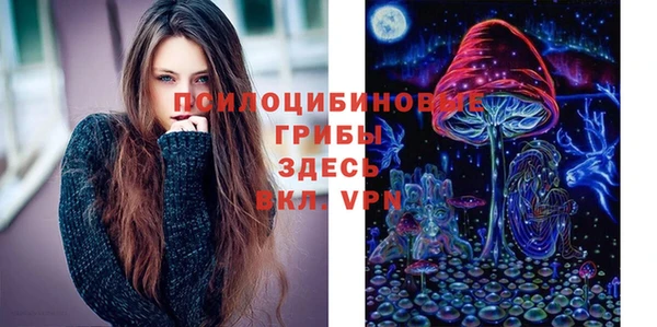 синтетический гашиш Карпинск