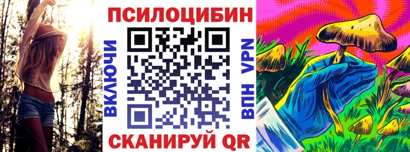 Купить закладки  Новоалександровск  Галлюциногенные грибы Psilocybe 